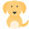 mascotas